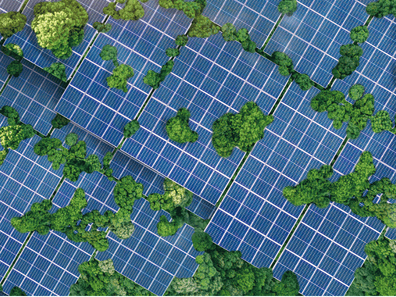 Delhez-Solar-installation-photovoltaïque-entreprise-Province-Liège