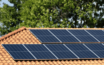 Panneaux solaires avec batterie en Wallonie : le guide complet pour faire le bon choix